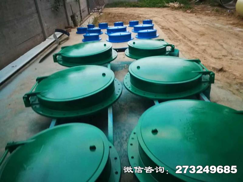 阿勒泰市政管道口玻璃钢拍门