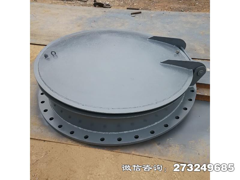 施甸县不锈钢法兰连接拍门