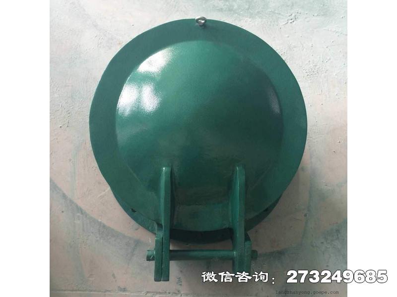 施甸县玻璃钢圆形拍门