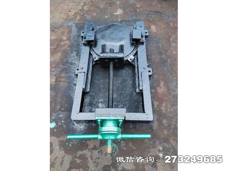 天长启闭机闸门一体机